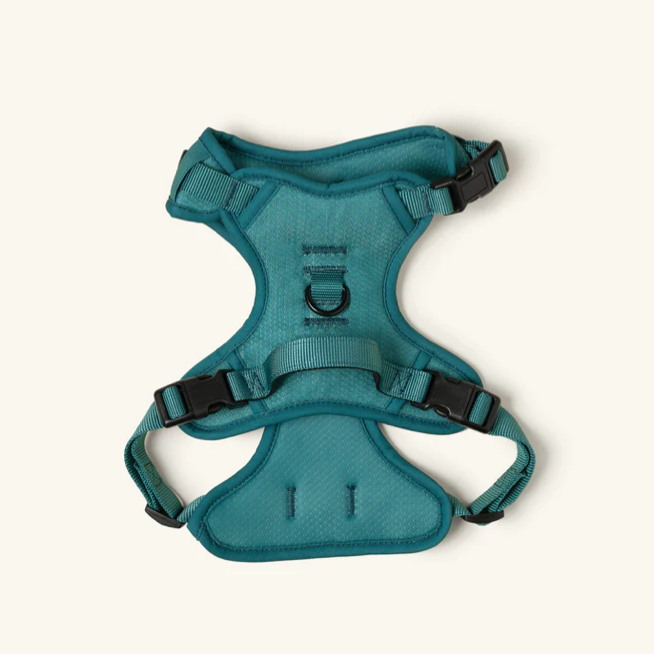 Front 2024 walking harness