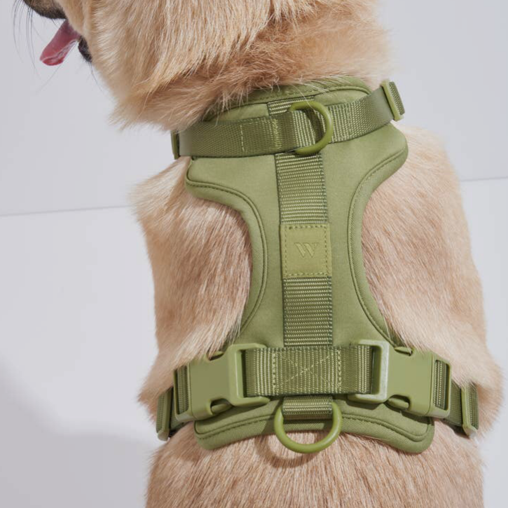 Wild One Comfort Harness Moss – Hip Pooch