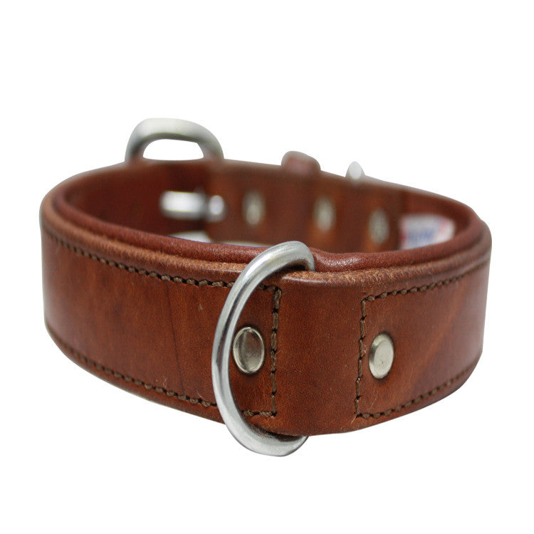 Angel Pet - Dallas Collar