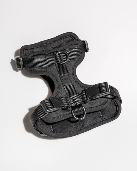 Wild One - Comfort Harness - Black