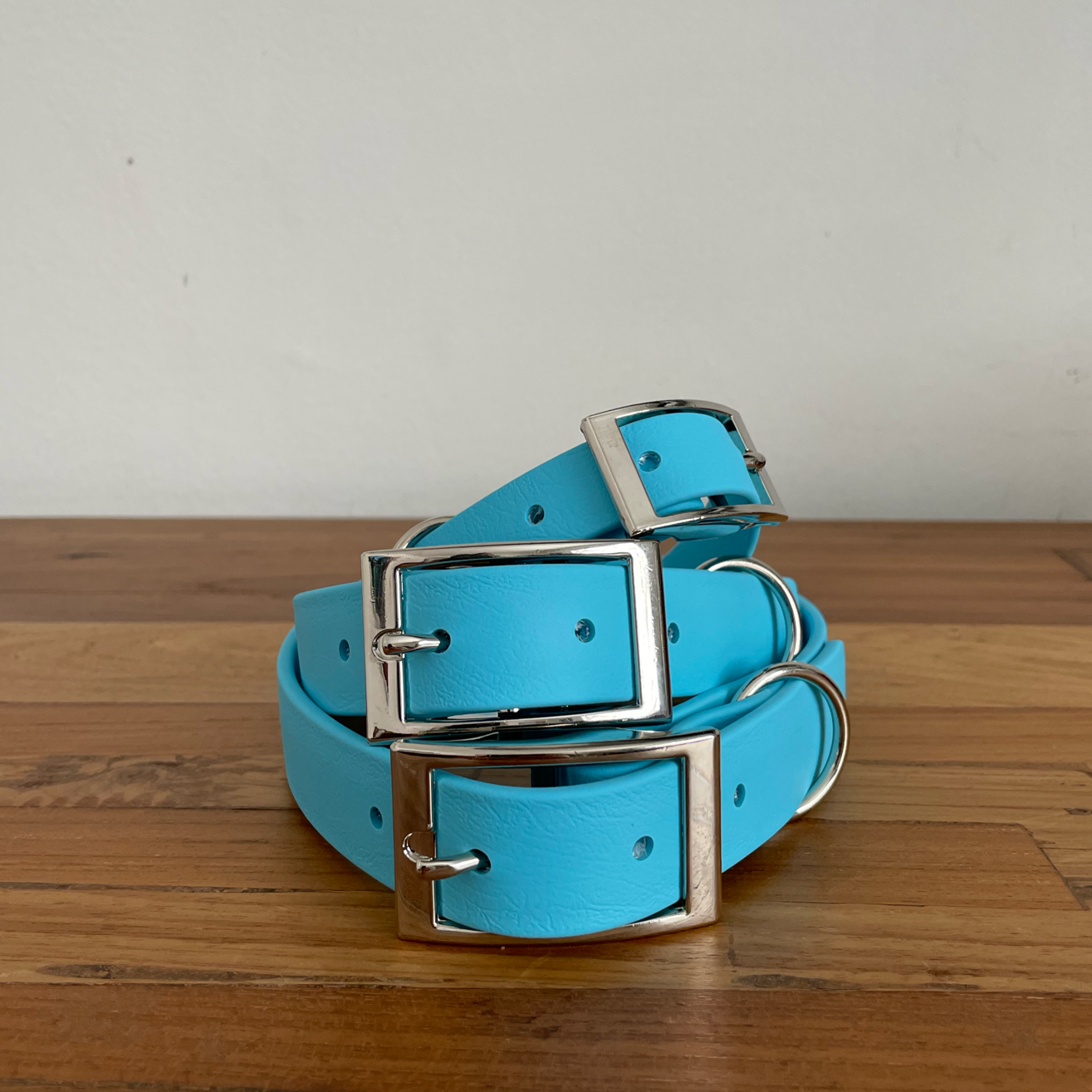 Biothane best sale dog leads